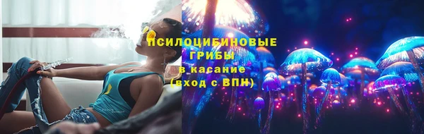 прущая мука Верея