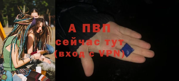 стаф Волоколамск