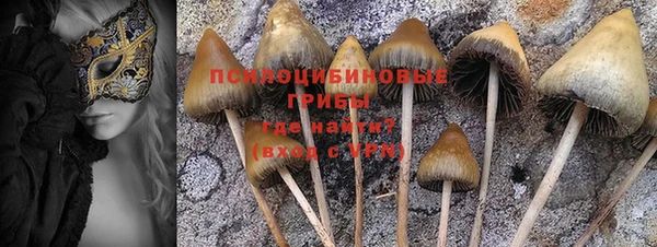 кокаин премиум Богданович