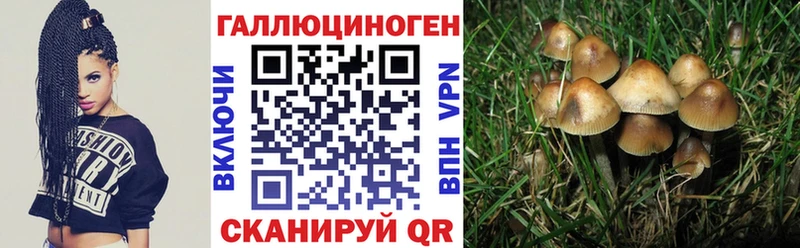 Галлюциногенные грибы Cubensis  мега как войти  Иннополис  где продают  